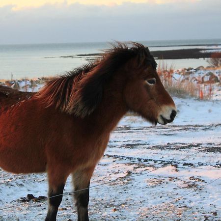 Vila Rvk Horizon Álftanes Exteriér fotografie